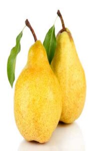 آموزش کاشت نهال گلابی