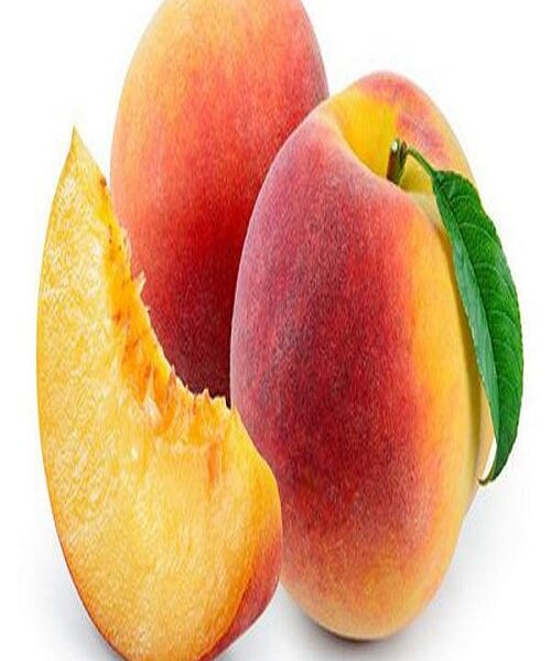 نهال هلو آلبرتا