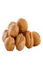 نهال گردو ژنوتیپ