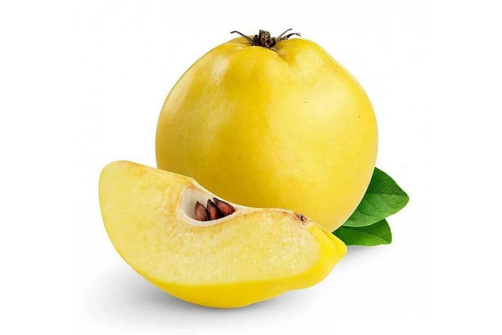 آموزش کاشت نهال به