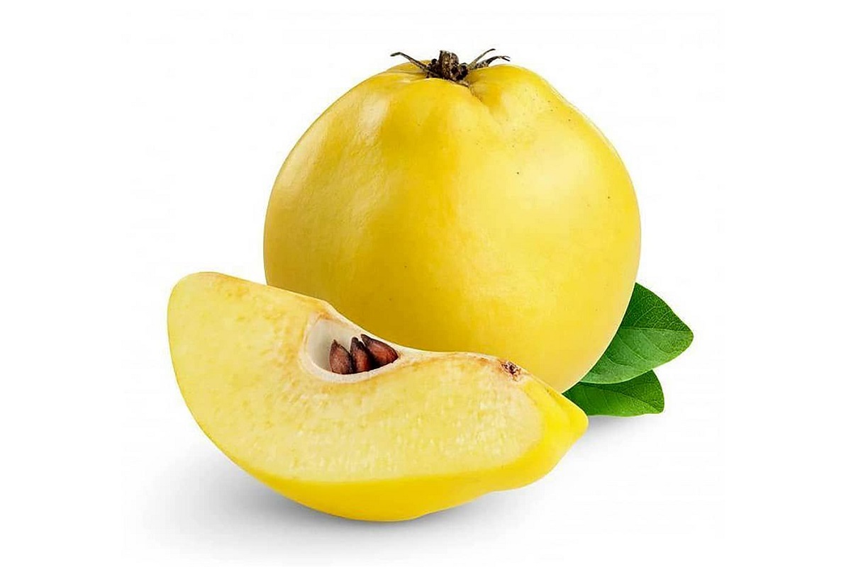 آموزش کاشت نهال به