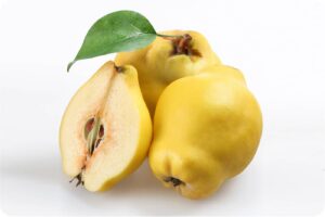 آموزش کاشت نهال به