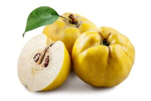 آموزش کاشت نهال به