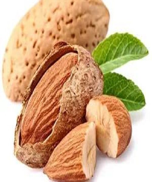نهال بادام آذر