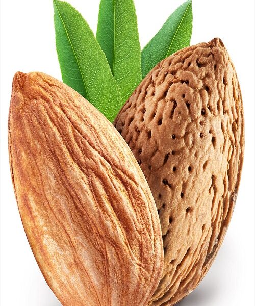 نهال بادام اسکندر