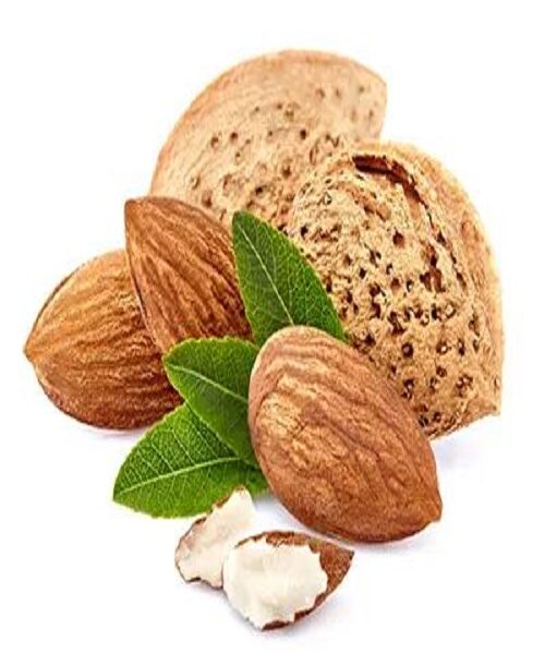 نهال بادام حریر