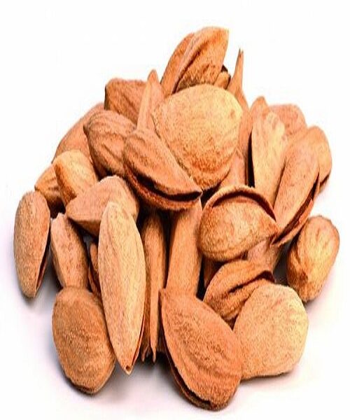 نهال بادام یلدا
