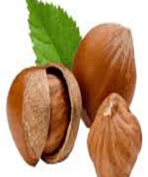 نهال فندق بارسولنیا