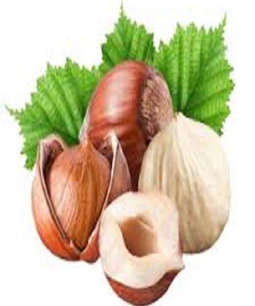 نهال فندق نوندا