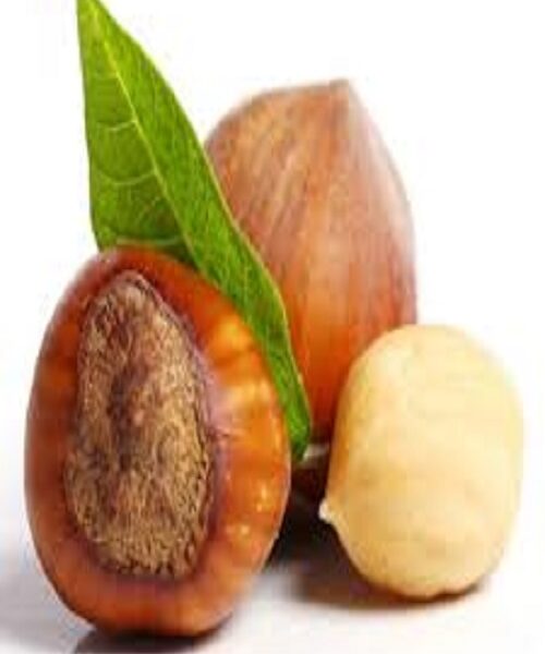 نهال فندق پشمینه
