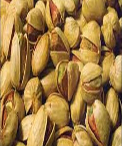 نهال پسته ایتالیایی