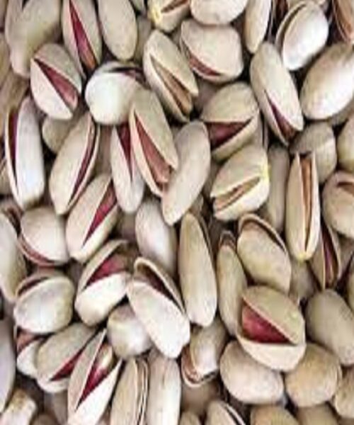 نهال پسته ایتالیایی