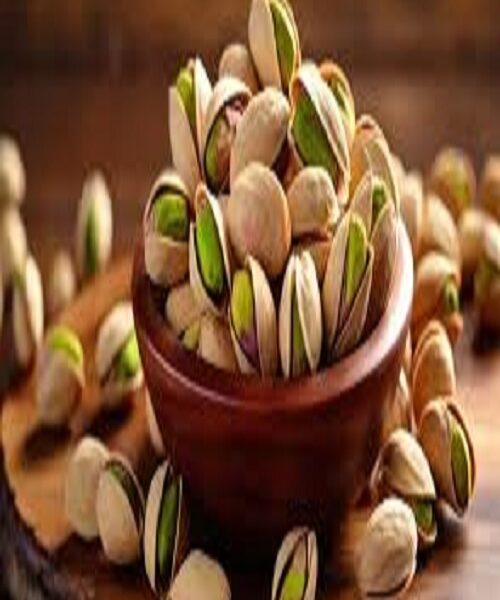 نهال پسته بادامی راوی