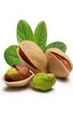 نهال پسته بادامی راوی