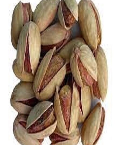 نهال پسته بادامی راوی