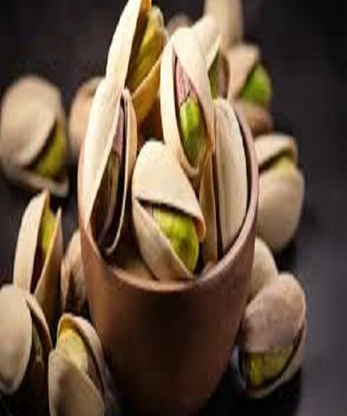 نهال پسته شاه پسند