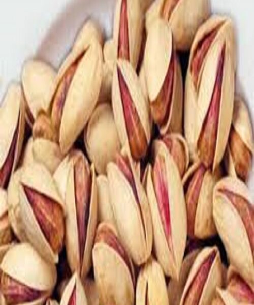 نهال پسته شاه پسند