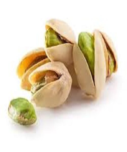 نهال پسته فندقی ریز