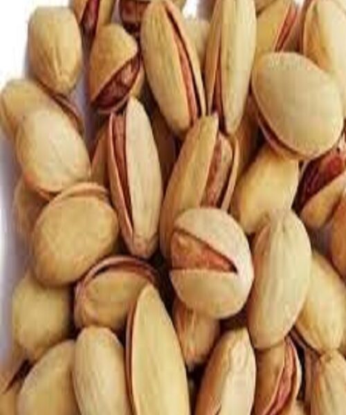 نهال پسته ممتاز