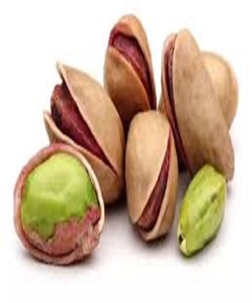 نهال پسته ممتاز