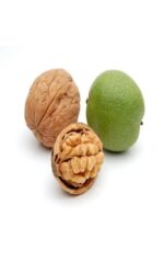 نهال گردو اسرائیلی