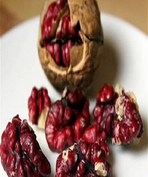 نهال گردو تو سرخ