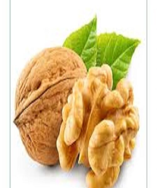 نهال گردو ممتاز پیوندی