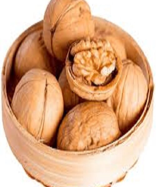 نهال گردو پدرو