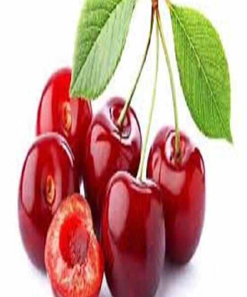 نهال گیلاس قرمز ارومیه