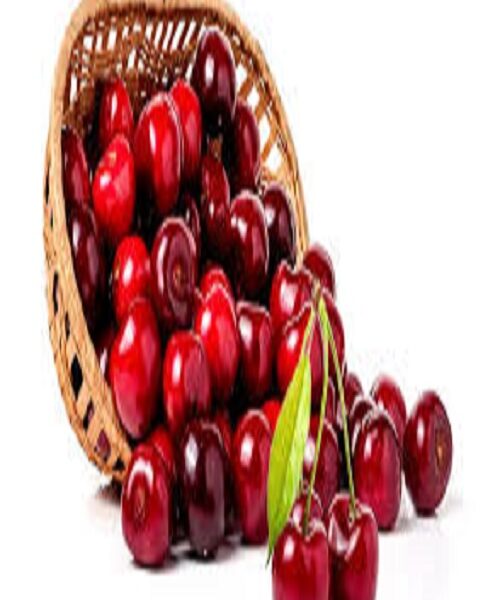 نهال گیلاس ناپلئونی