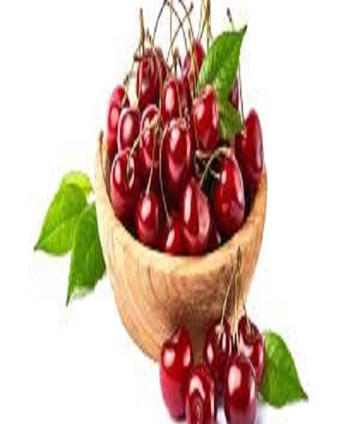 نهال گیلاس ناپلئونی