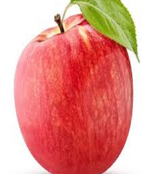 نهال سیب گالا