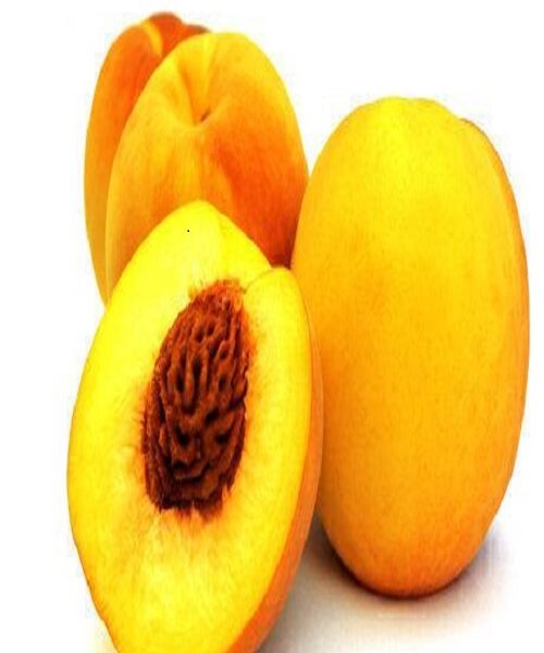 نهال هلو گلدن کویین