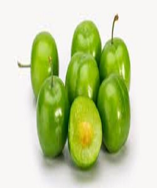 نهال گوجه یزغان