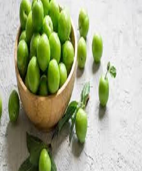 نهال گوجه ترکیه