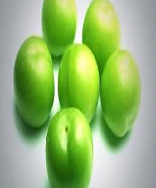 نهال گوجه ترکیه