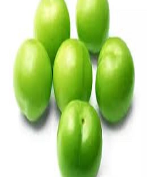 نهال گوجه سردرودی