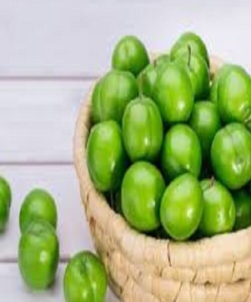 نهال گوجه سردرودی