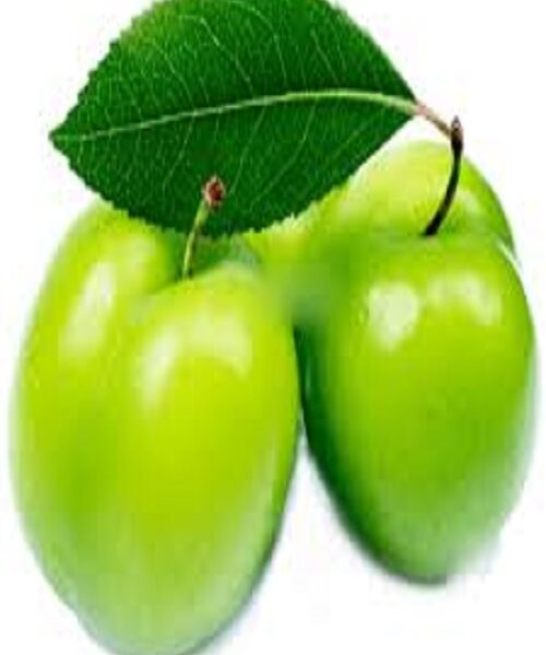 نهال گوجه نخجوان