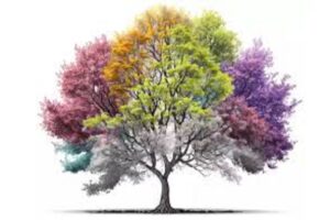آموزش کاشت نهال زینتی