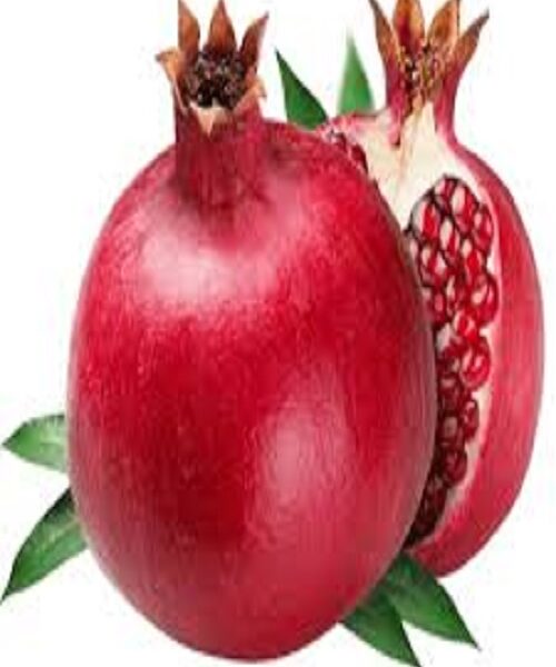 نهال انار دانه سیاه