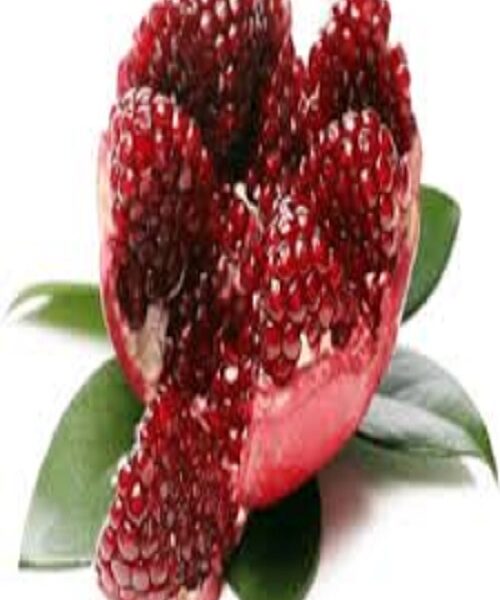 نهال انار ساوه