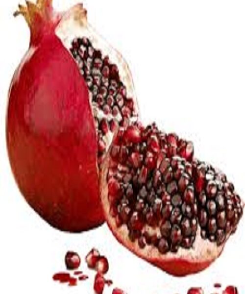 نهال انار سردشت