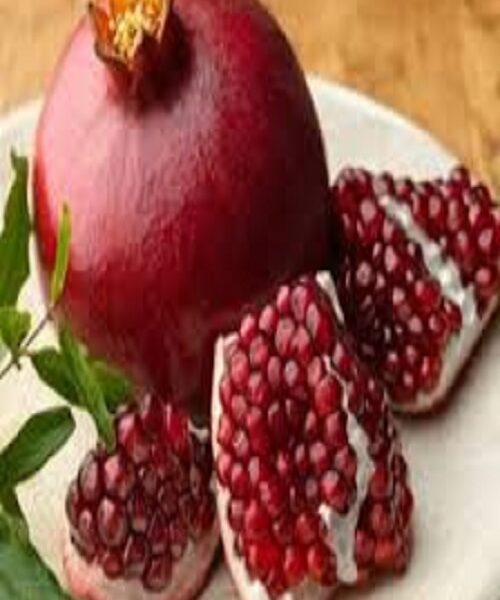نهال انار ژله ای