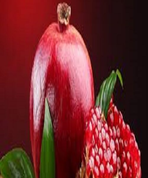 نهال انار گربان