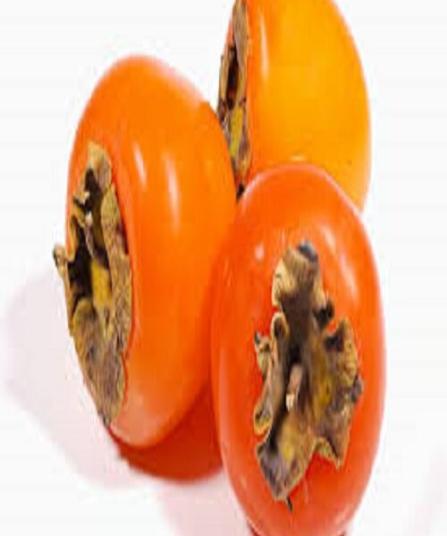 نهال خرمالو تاباتا