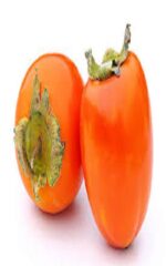 نهال خرمالو ژاپنی