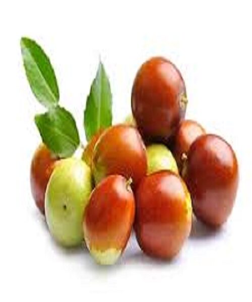 نهال عناب ارمنی
